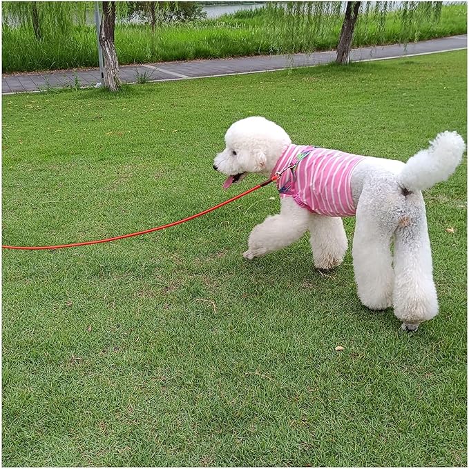 MayPaw 4/6 /8/10 FT Dog Leash, Classic Solid Colors, Strong Nylon Rope Dog Leash Reinforced with Leather Tailor Connection Heavy Duty Silver Clasp (red, 8ft*1/2")