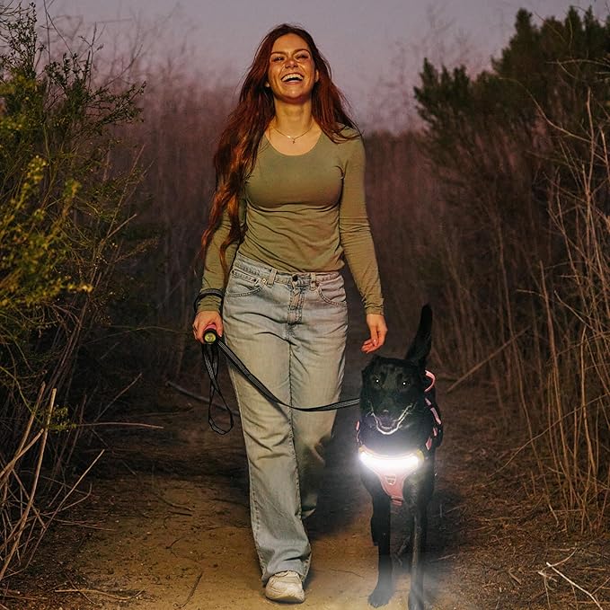 Lumi One LED Dog Harness for Night Visibility and Safety, Patent Pending ??High-Visibility Light-Up Dog Vest with 1000 Lumen LED, Rechargeable Battery, Adjustable Fit, Reflective Trim (Pink, Large)