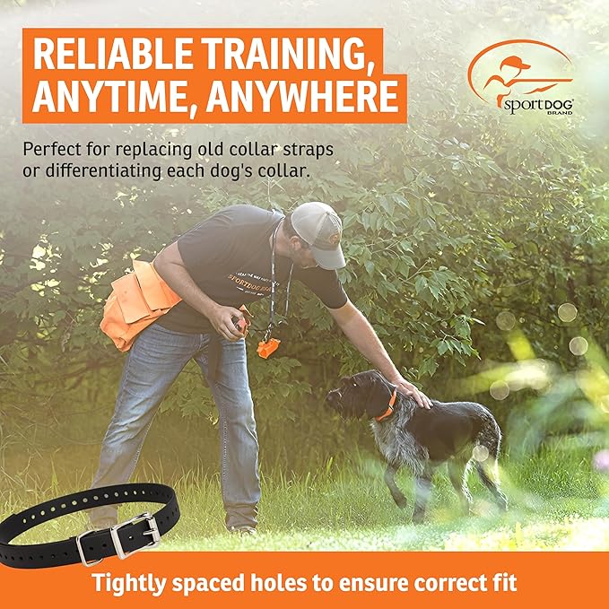 SportDOG 3/4-Inch Collar Strap - Waterproof Replacement Strap for Rugged Outdoor Use - Adjustable Collar with High Visibility - Black