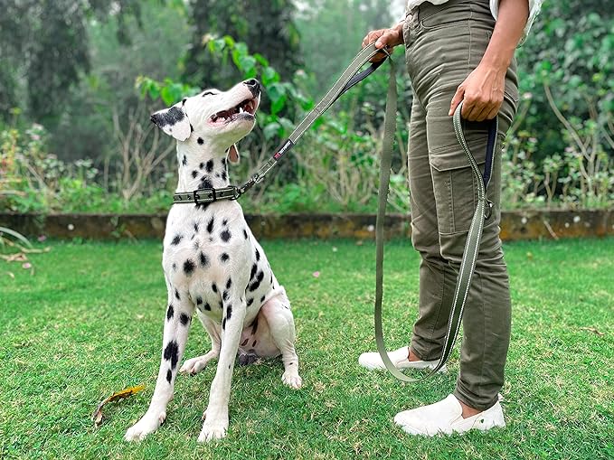 Tuff Pupper Heavy Duty Double Handle Leash with Twist Lock Carabiner Clip | Safety Lock for Strong Dogs | Reflective for Night Walks | 6ft for Medium & Large Dogs