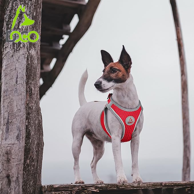 DOCO Dog Harness for Small Sized Dog - Athletica Adjustable, No Pull, No Choke, Puppy Vest Lightweight Air Mesh, Reflective, Puppy Essentials – Turquoise, Small (Chest 14.5"-15.5", Weight 6–10 lbs)