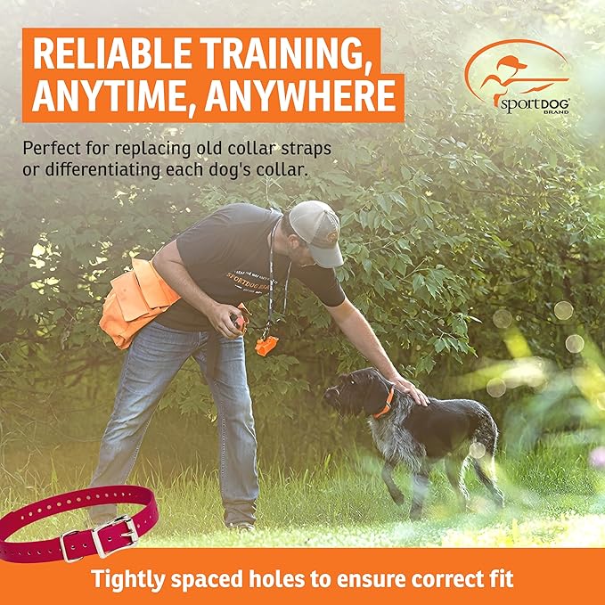 SportDOG 3/4-Inch Collar Strap - Waterproof Replacement Strap for Rugged Outdoor Use - Adjustable Collar with High Visibility - Red