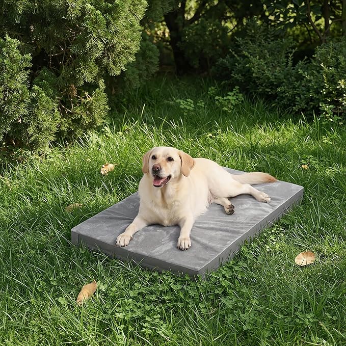 Waterproof XXXL Dog Beds Large Sized Dogs, Orthopedic Washable Crate Pad 54 inch, Jumbo XXXLarge Foam Pet Bed with Removable Cover Reversible, Anti-Slip Kennel Pad, 53"x36", Gray