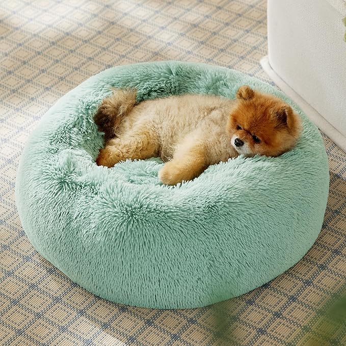 Bedsure Calming Dog Bed for Small Dogs - Donut Washable Small Pet Bed, 23 inches Anti-Slip Round Fluffy Plush Faux Fur Large Cat Bed, Fits up to 25 lbs Pets, Apple Green