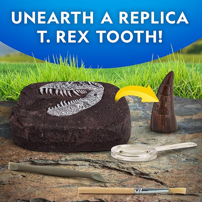 NATIONAL GEOGRAPHIC Dino Fossil Dig Kit & Dinosaur Book for Kids- Excavate a Replica Dinosaur Tooth Fossil and Study Paleontology with a Full-Color Dinosaur Activity Book for Kids (Amazon Exclusive)