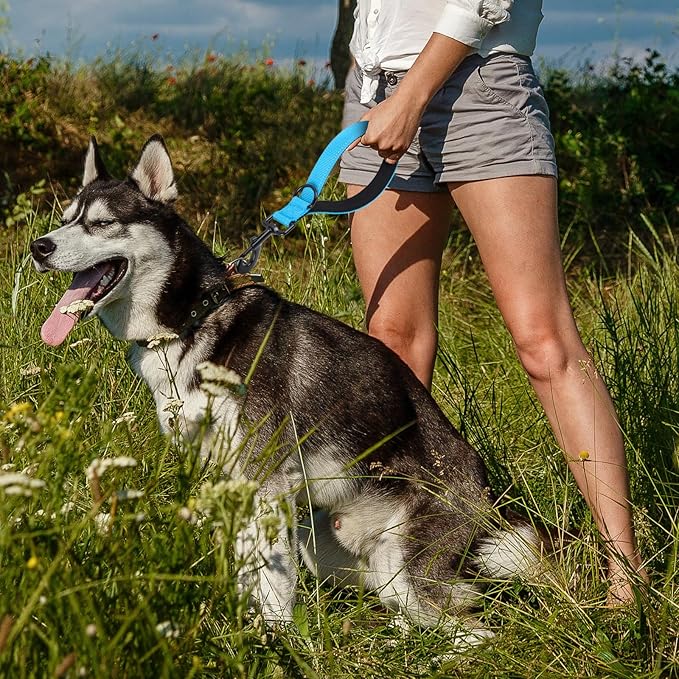 Dog Leash, Short Dog Leash, Leashes for Large Breed Dogs,Traffic Padded Handle- Reflective Training Lead, Perfect for Medium to Large Dogs(12 Inch, Blue)