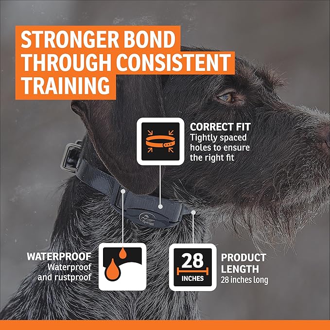 SportDOG 3/4-Inch Collar Strap - Waterproof Replacement Strap for Rugged Outdoor Use - Adjustable Collar with High Visibility - Grey