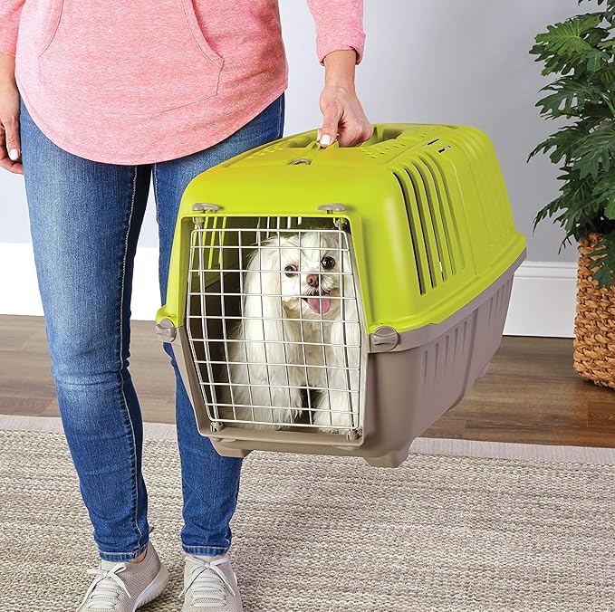 MidWest Homes for Pets Spree Travel Carrier ??Hard-Sided Dog & Cat Carrier, Small Pet Travel Crate with Handle, Ventilated Design, Easy Assembly, 24-Inch, Green