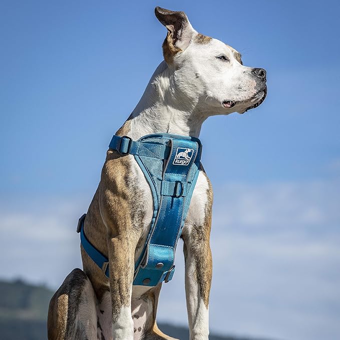 Kurgo Tru-Fit Smart Dog Walking Harness - Comfortable Fit - Adjustable Harness - Reflective Pet Wear - Quick Strap Release - Daily Walk Accessory - Includes Seat Belt Loop - Blue - Small
